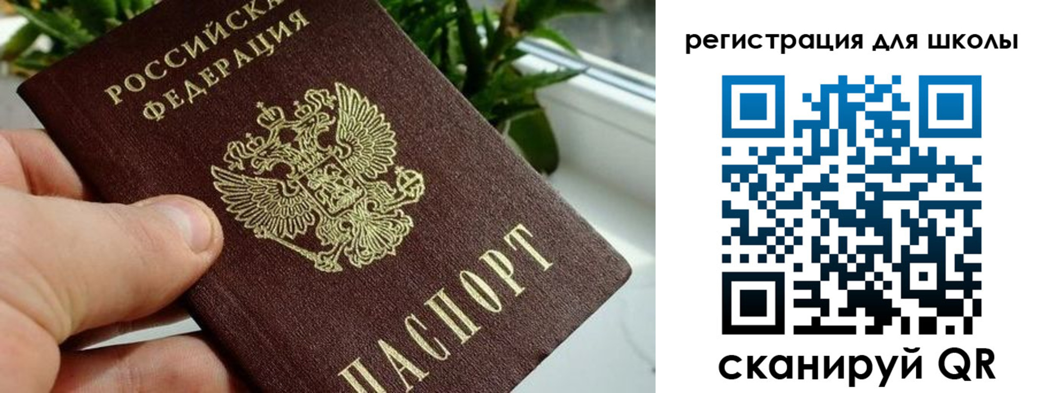 прописка в Чистополье